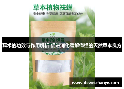 莪术的功效与作用解析 促进消化缓解痛经的天然草本良方