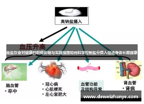 低盐饮食对健康的积极影响与实践指南如何科学控制盐分摄入促进身体长期健康