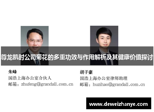 尊龙凯时公司菊花的多重功效与作用解析及其健康价值探讨