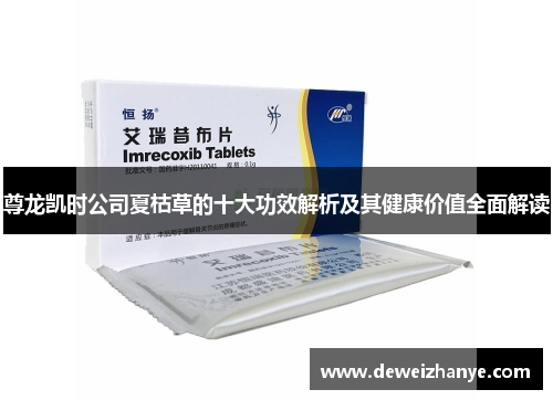 尊龙凯时公司夏枯草的十大功效解析及其健康价值全面解读