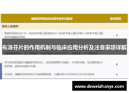 布洛芬片的作用机制与临床应用分析及注意事项详解